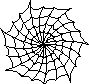 Web