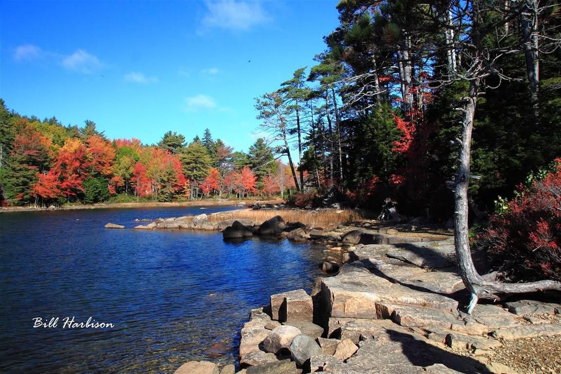 Lake in Maine
