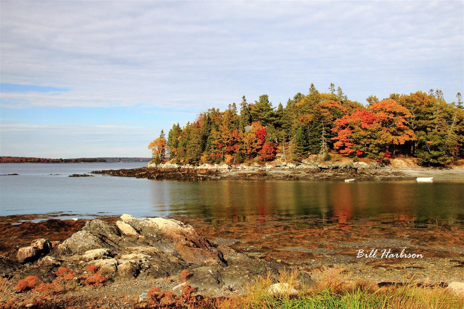 MDI Coast 1